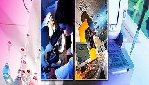 افزایش تعداد شرکت های زیست بوم شریف تا افق 1404 افزایش تعداد شرکت های زیست بوم شریف تا افق 1404