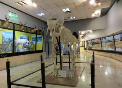 سه روز بازدید رایگان از موزه تنوع زیستی پارک پردیسان