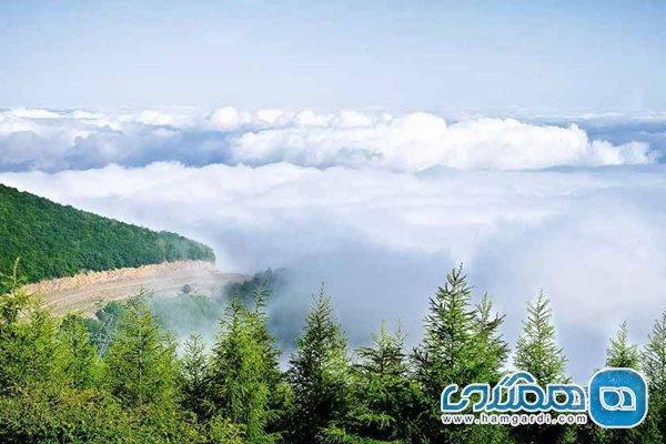 یکی از دست نخورده ترین جنگل های ایران که در سمنان واقع شده است