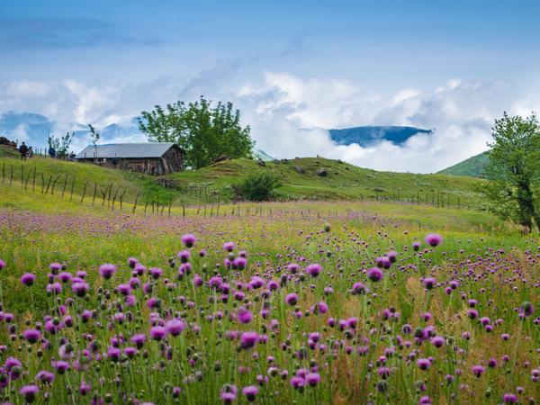 معرفی 17 مقصد خنک در ایران برای سفر د تابستان